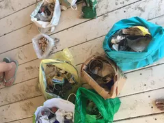 Residuos separados por tipo en bolsas de colores, incluida una bolsa llena de colillas