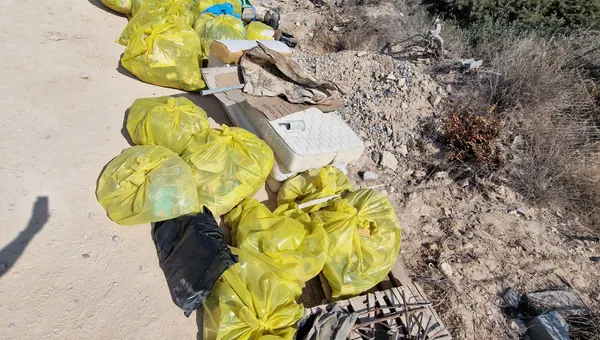 Bolsas de basura y escombros de un vertido ilegal recogidos junto a una carretera de Ibiza